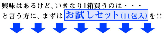 レンチンプラス1000お試しセット